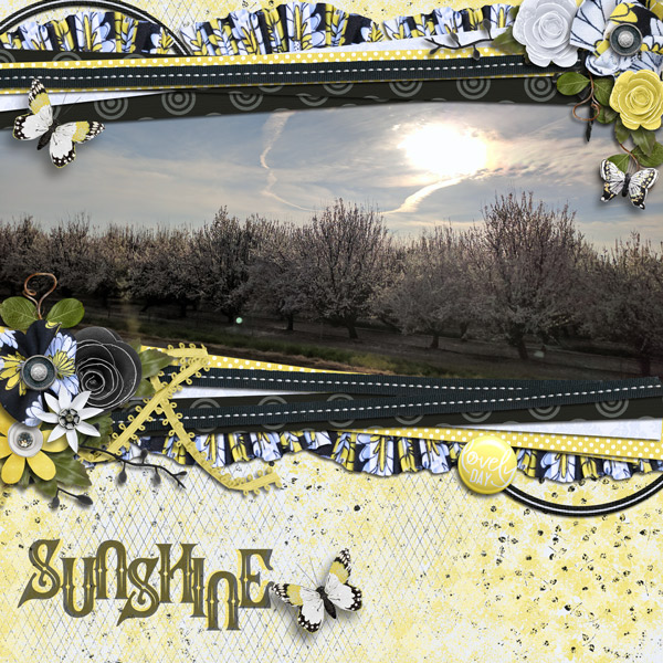 sunshine
