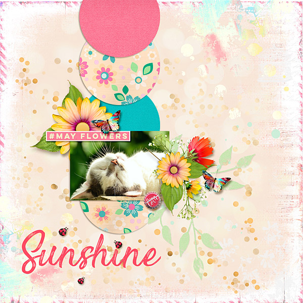 Sunshine