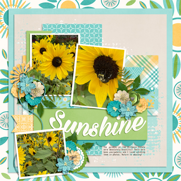 Sunshine