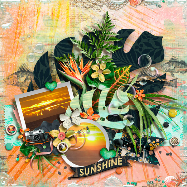 Sunshine