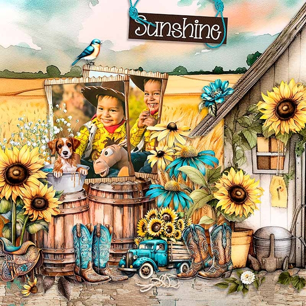 Sunshine