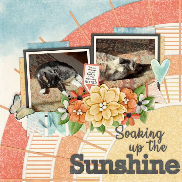 Sunshine