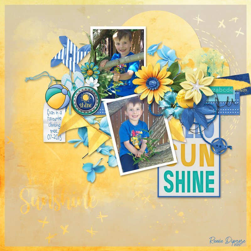 Sunshine