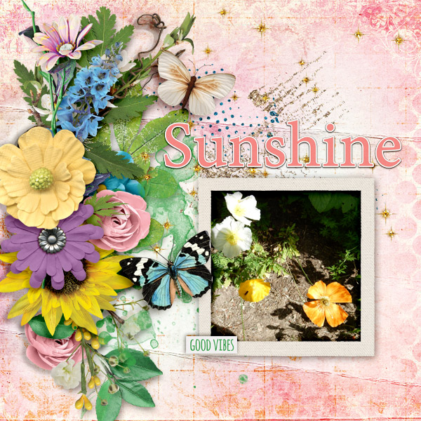 Sunshine83