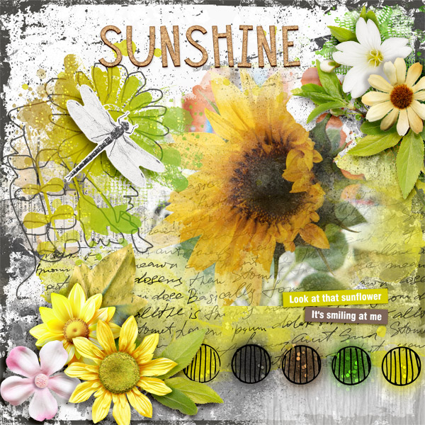 Sunshine93