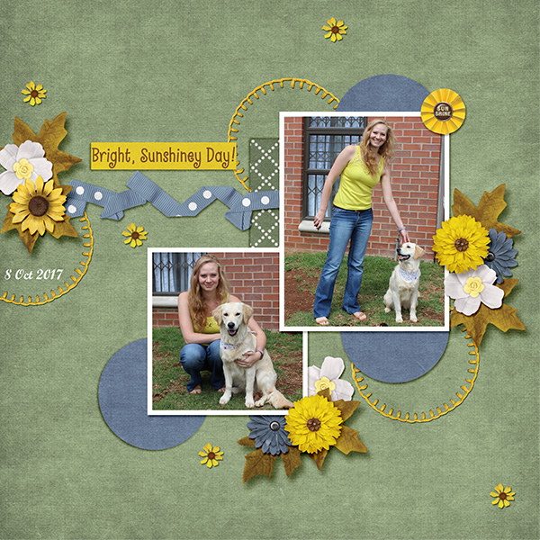 SunshineDay_11thBirthday_Bingo_MagsGraphics