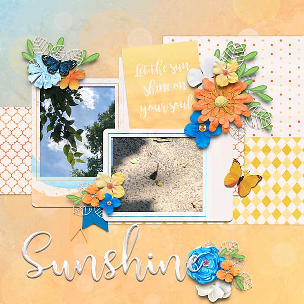 sunshinein-copy