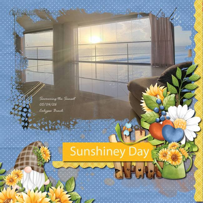 Sunshiney Day