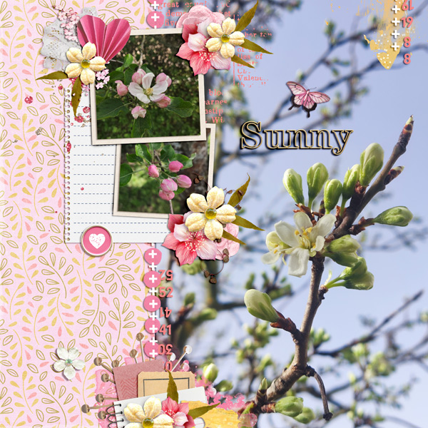 suny spring morning