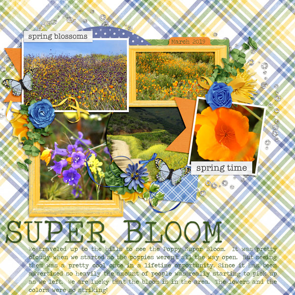 Super Bloom