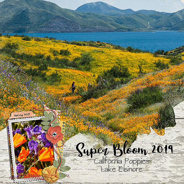 super bloom