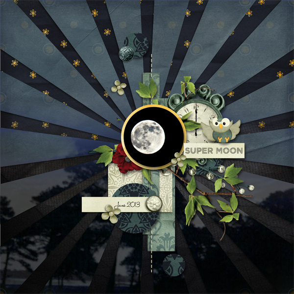 Super Moon- 07.05 Night Owl chat