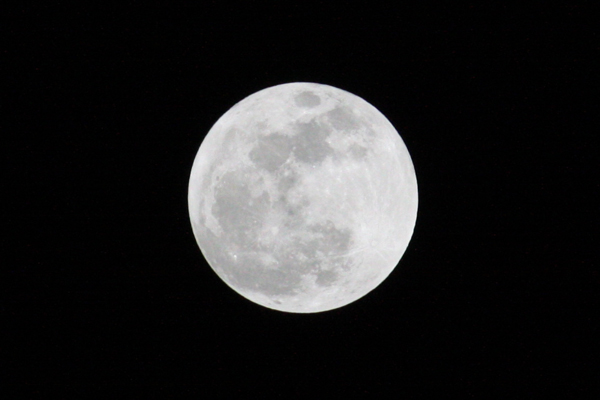 Super Moon Pic