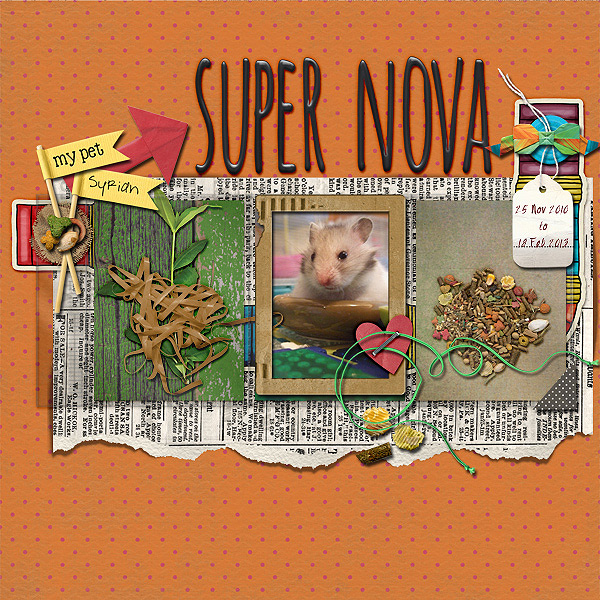 Super Nova