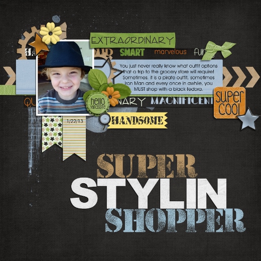 Super Stylin Shopper
