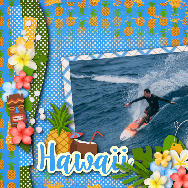 Surf Dude