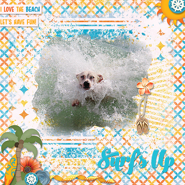 Surf Up