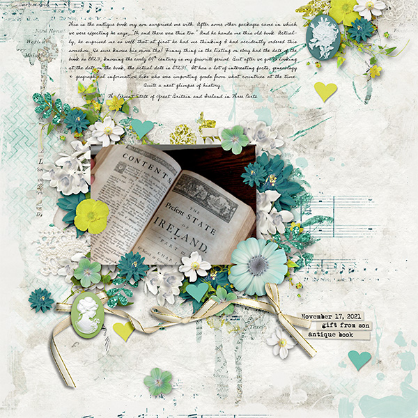 Surprise Book