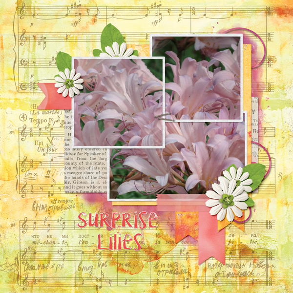 Surprise Lilies