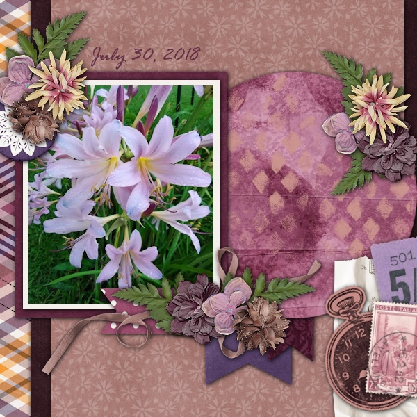 Surprise Lilies