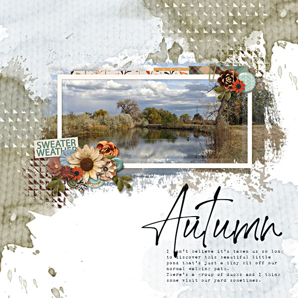 Surprise on our walk