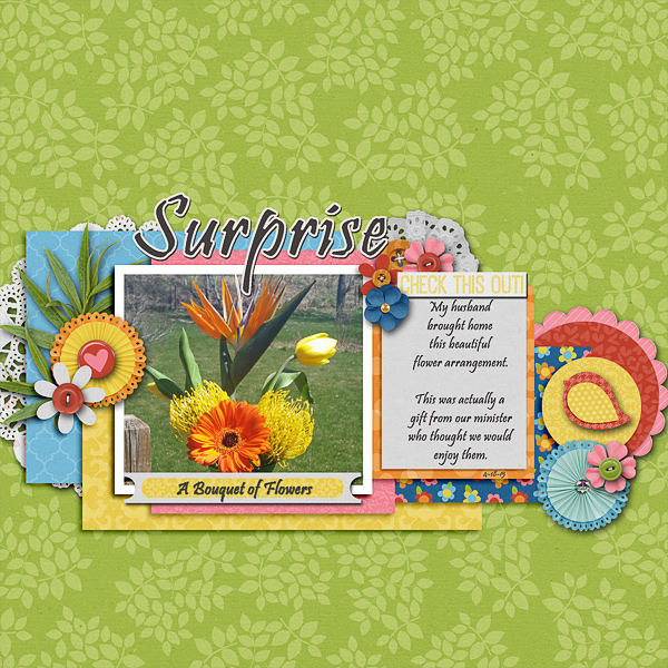 Surprise