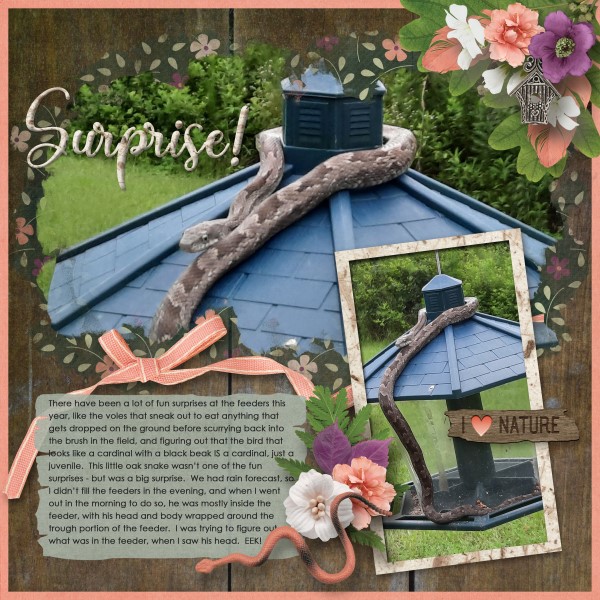 Surprise!