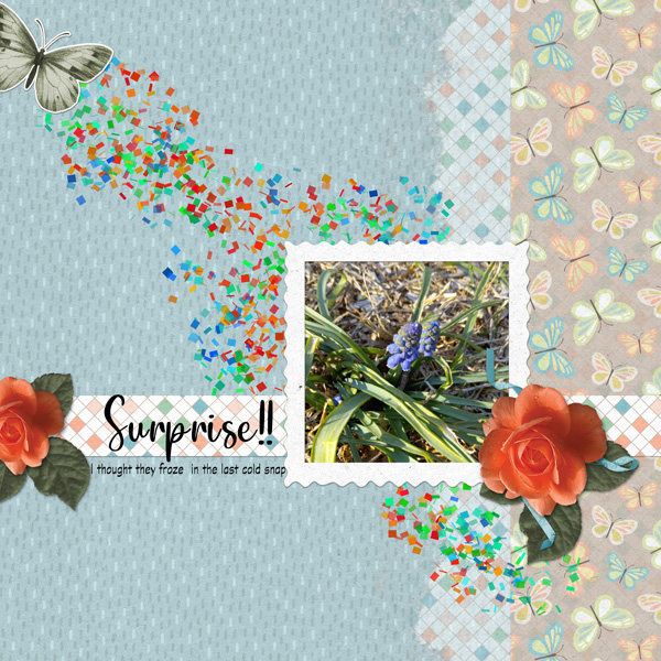 Surprise!!