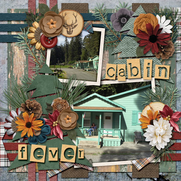 survivor - Cabin Fever - wk.1