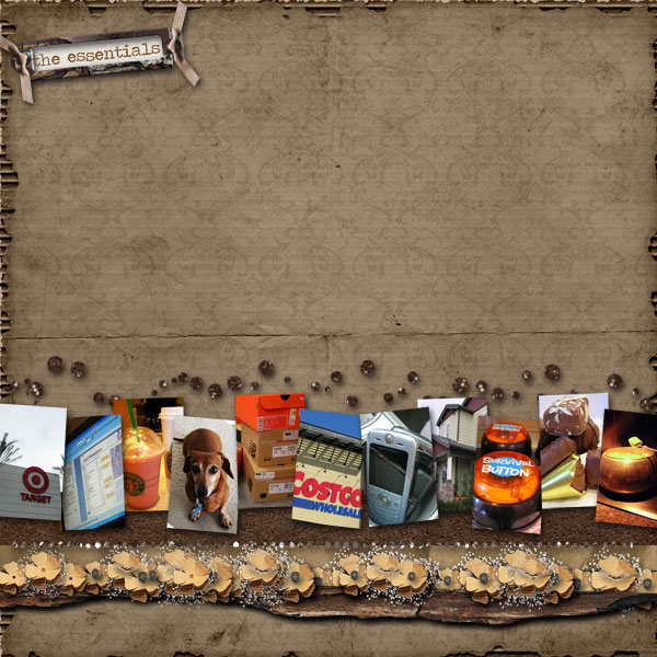 Survivor Essentials
