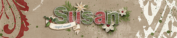 Susan Dec 19 Signature