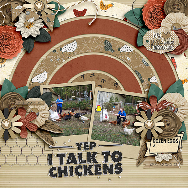 Susans-Chickens