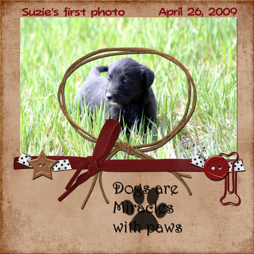 Suzie's First PhotoJune 2