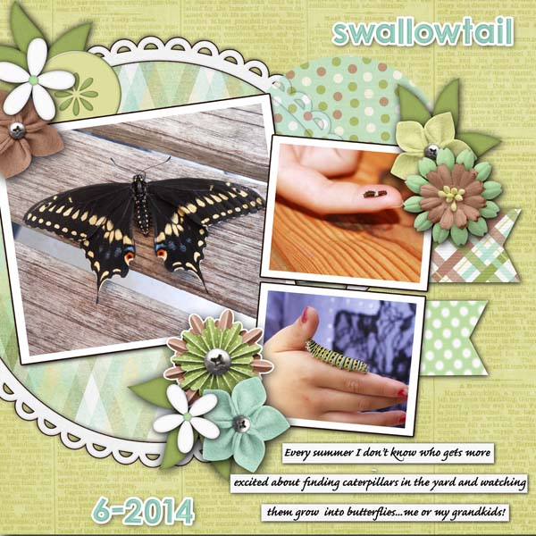 Swallowtail