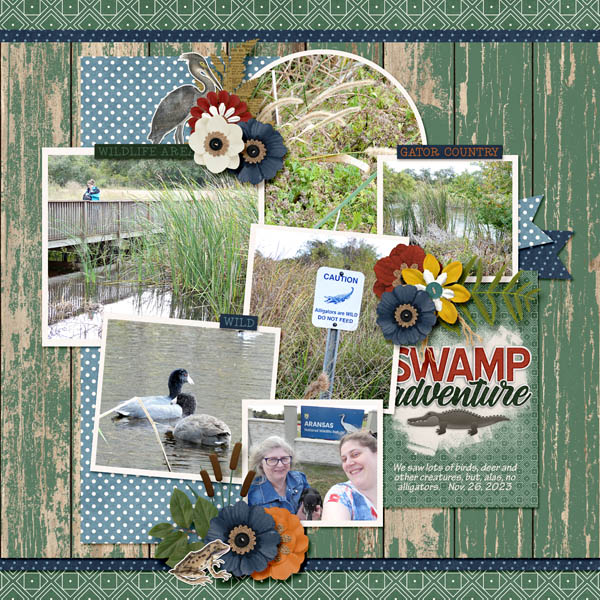 Swamp Adventure