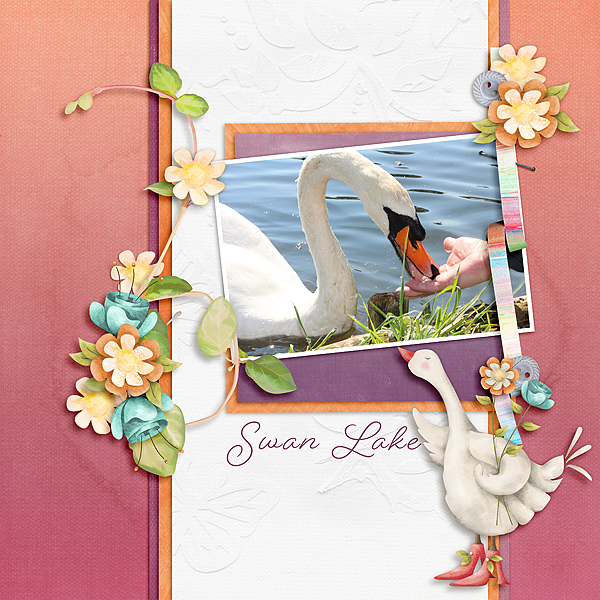 Swan Lake April-2017-UIA