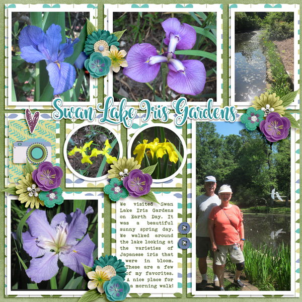 Swan Lake Iris Gardens