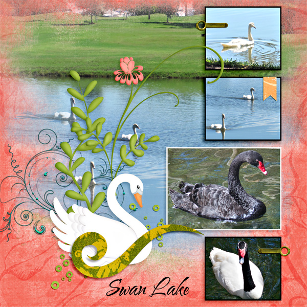 Swan Lake