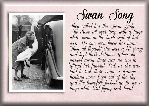 Swan Song
