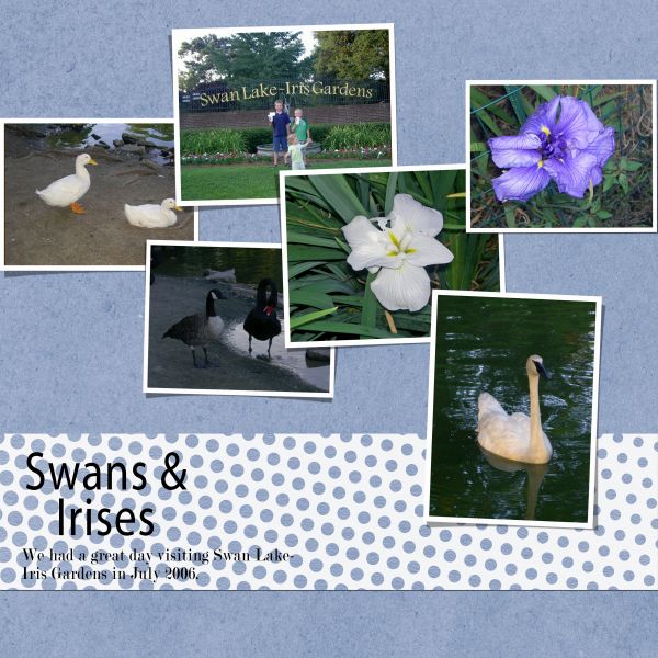 Swans + Irises