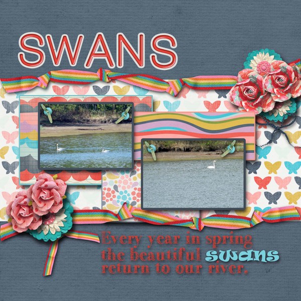 Swans