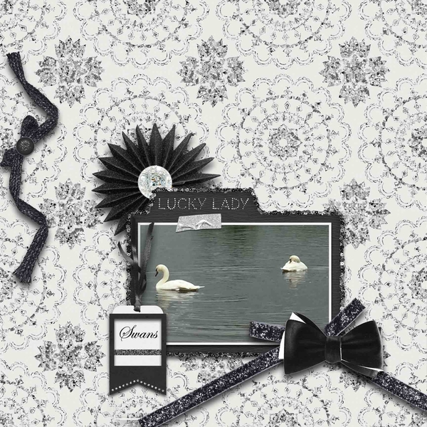 Swans
