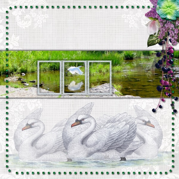 Swans