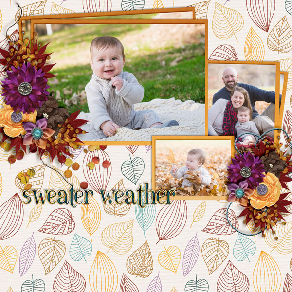 Sweather-Weather