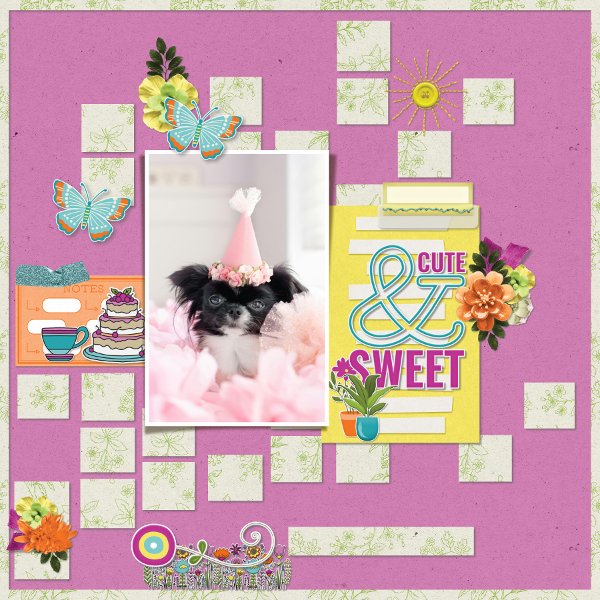 Sweet and cute
