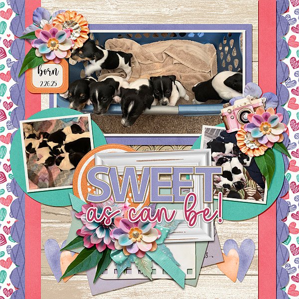 Sweet As Can Be!