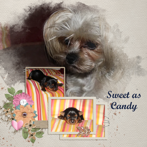 Sweet as Candy
