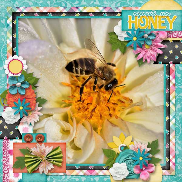 Sweet As Honey