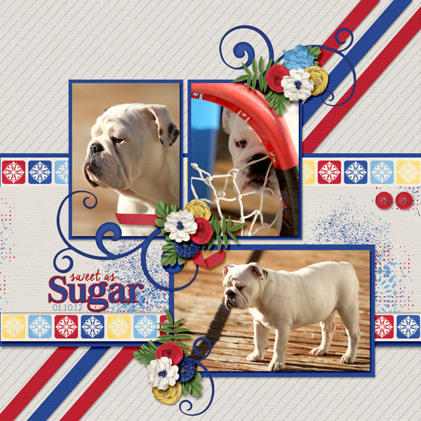 Sweet as Sugar