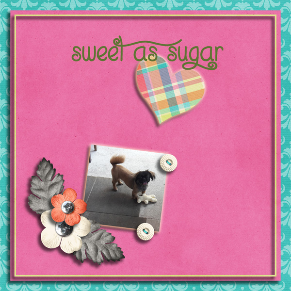 Sweet as sugar